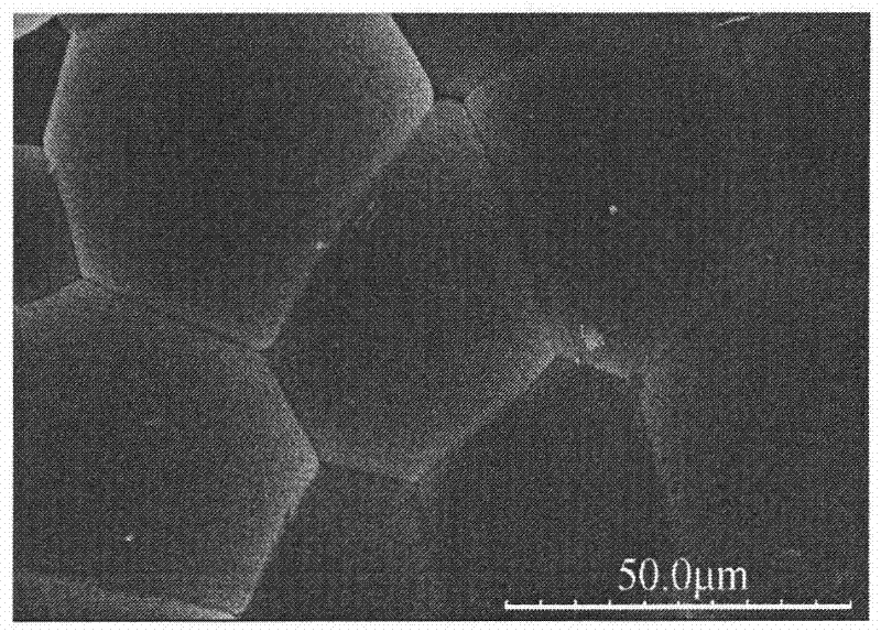 Method for preparing fluorine-containing electronic ink microcapsule