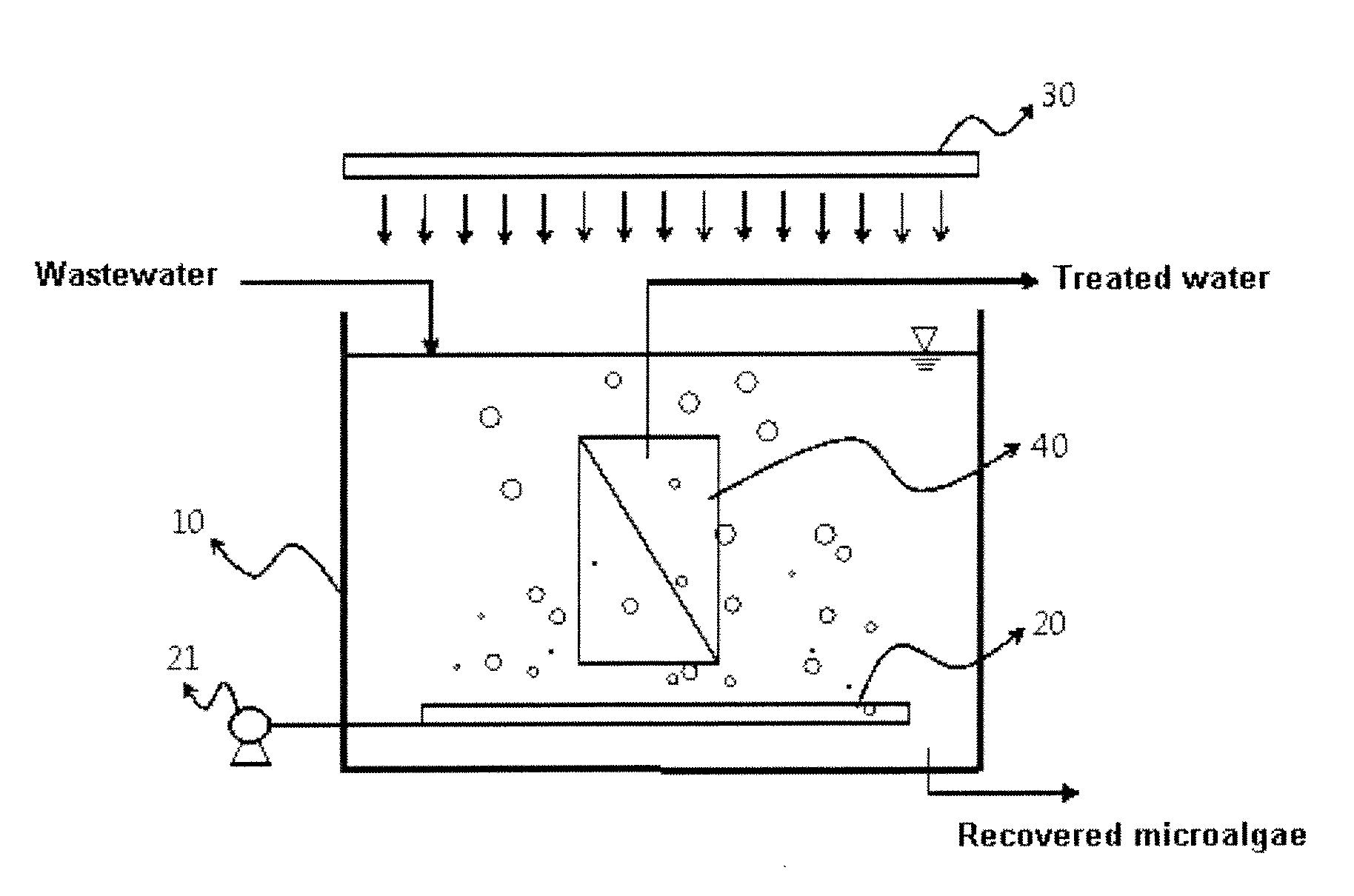 Device for Treating Wastewater Comprising Nitrogen and Phosphorus and a Method for the Same