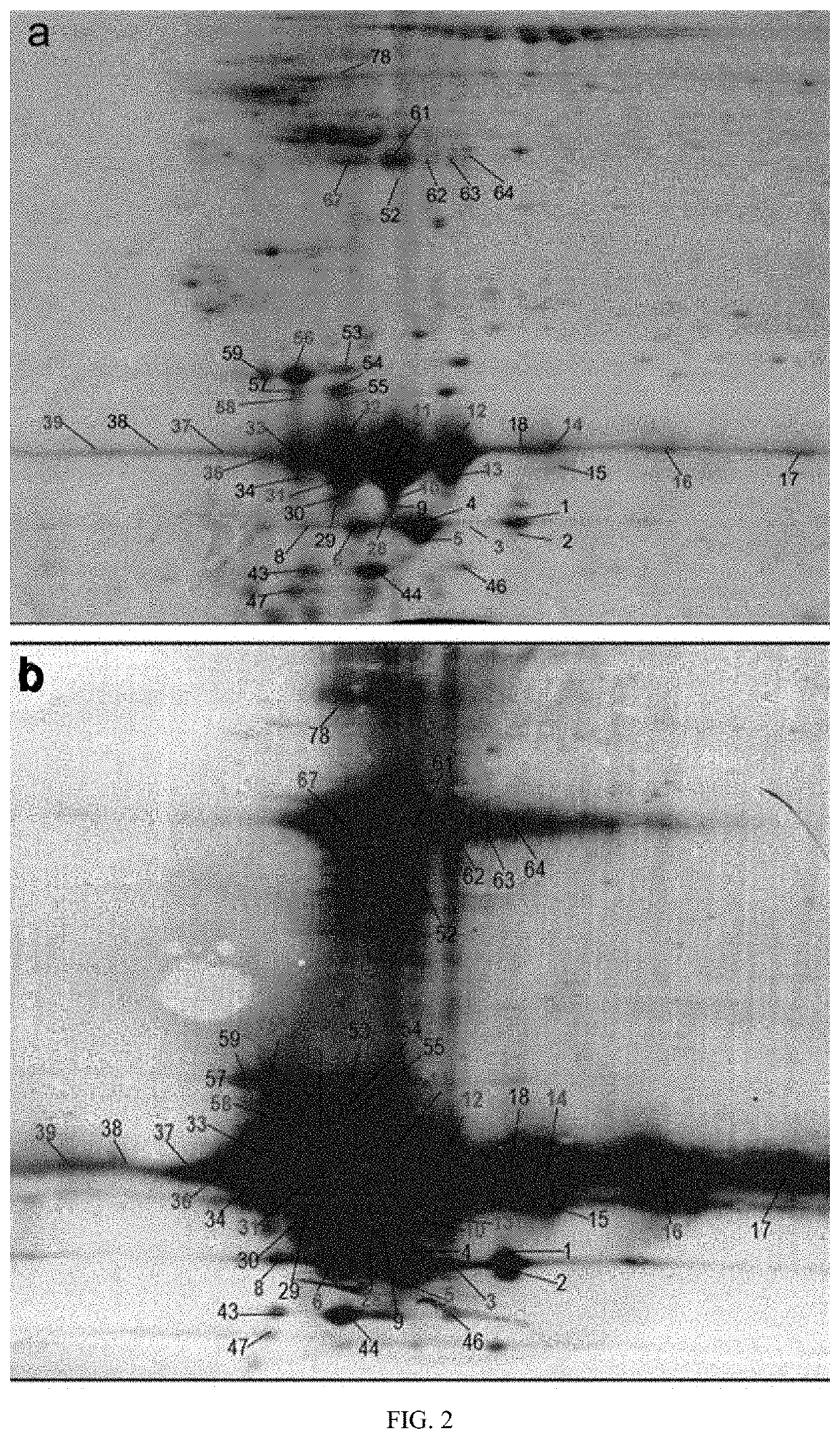 Method for Identifying Human Growth Hormone Proteoform (hGHP) Pattern Biomarker