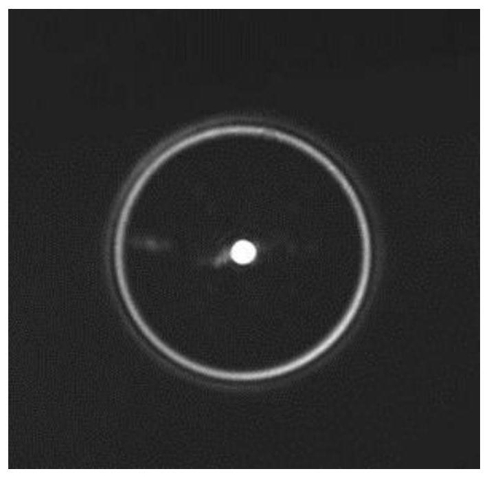 A Large Field of View Digital Scanning Light Sheet Illumination System Based on Phase Conjugate Mirrors