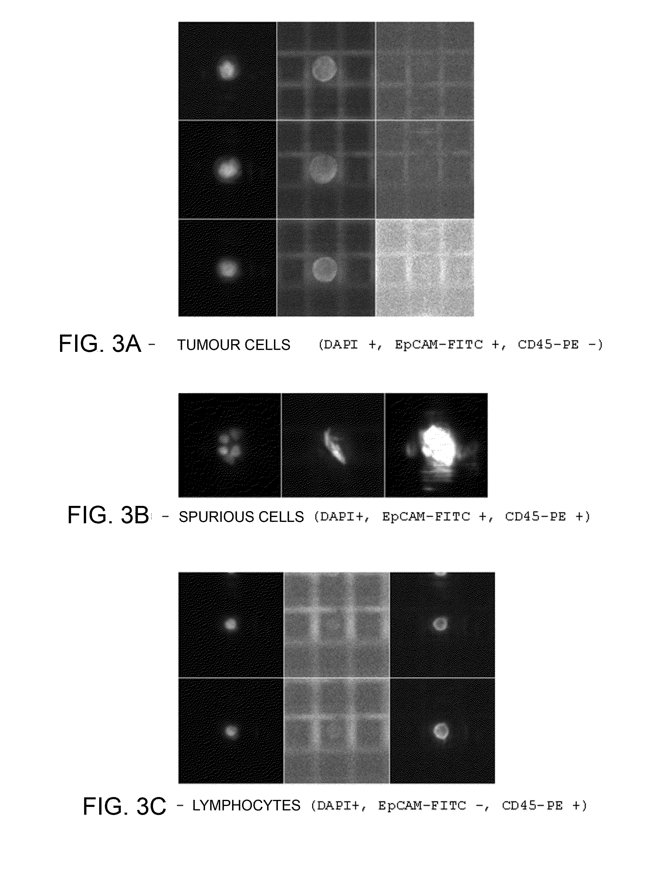 Method for Identification, Selection and Analysis of Tumour Cells