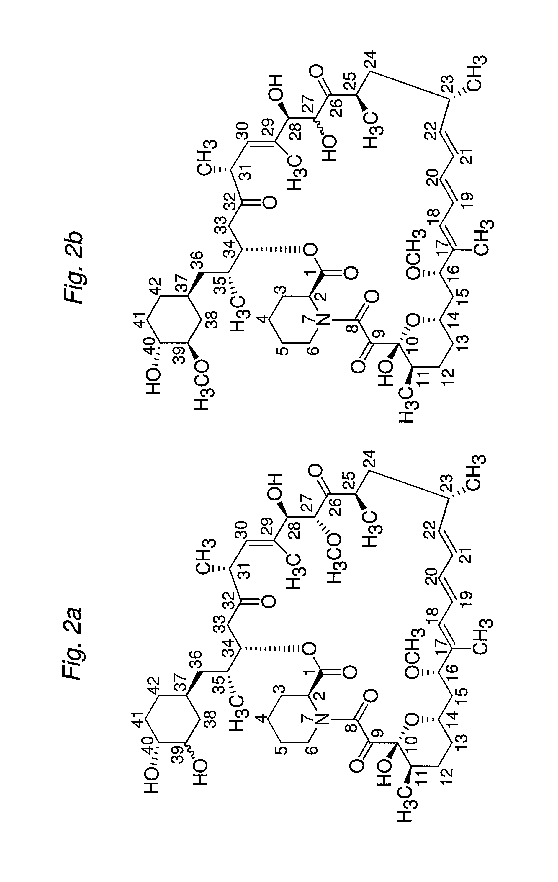 Macrocyclic lactone compounds and methods for their use
