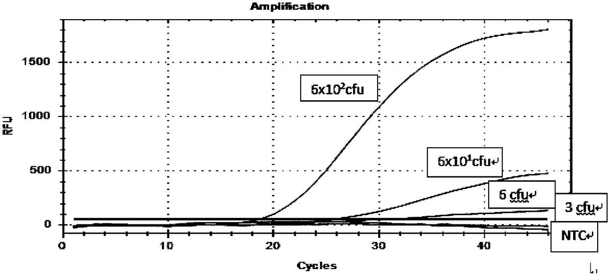 Primer, probe and kit for detecting brucella based on recombinase polymerase amplification method