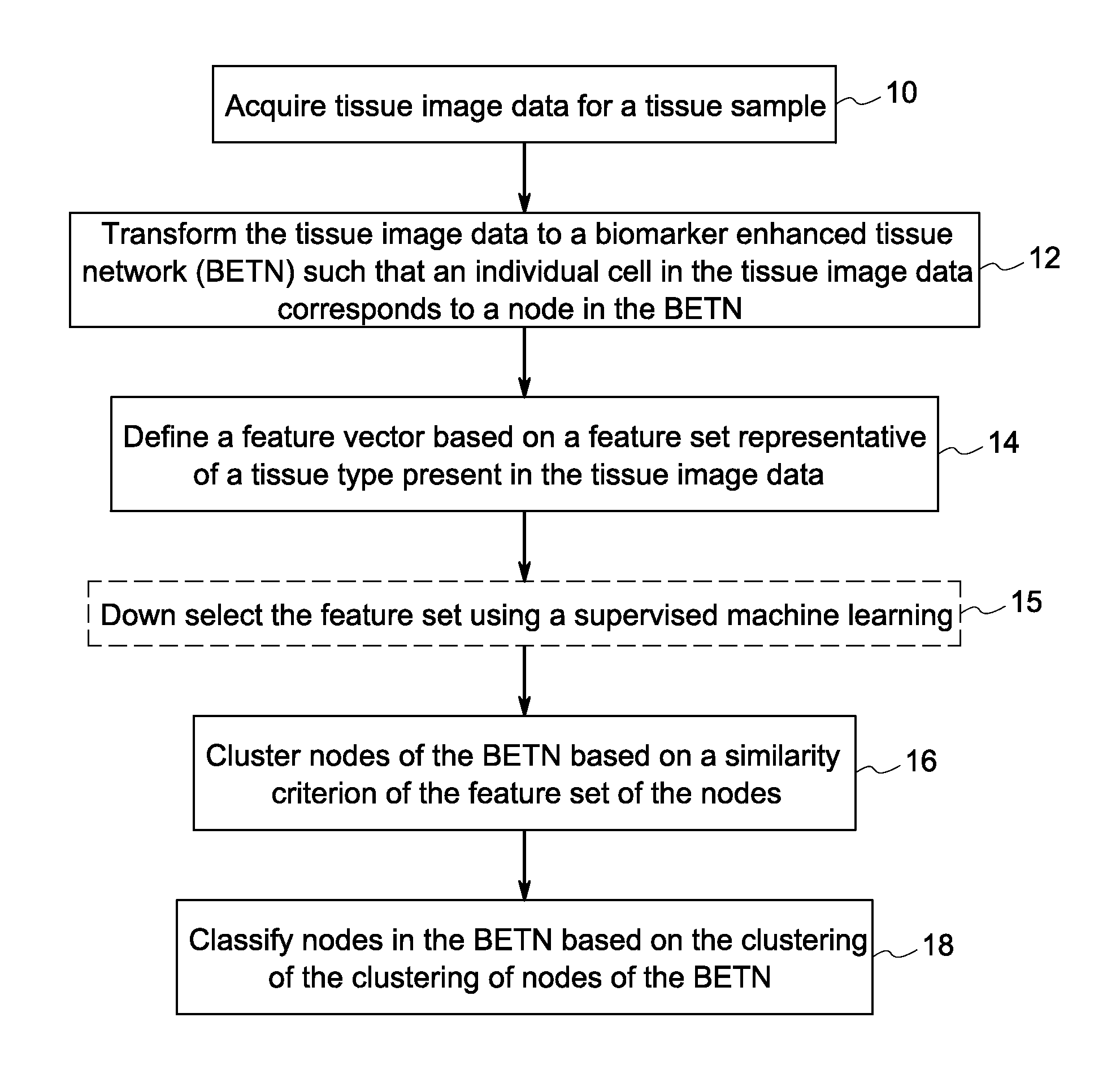 Systems and methods for tissue classification using attributes of a biomarker enhanced tissue network (BETN)