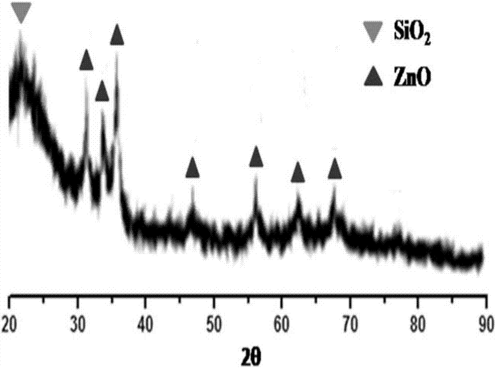 Catalyst For Catalytically Synthesizing Methyl Formate Under Normal ...