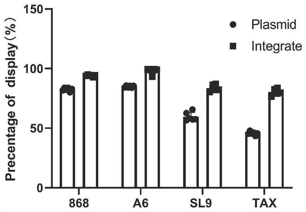 A rapid method for identifying cross-reactive activity of high-affinity TCR antigens