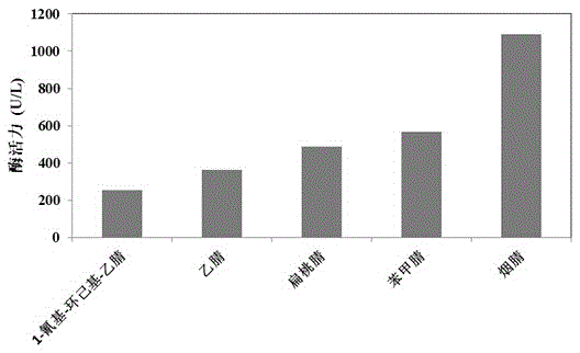 Method for rapidly detecting activity of nitrilase