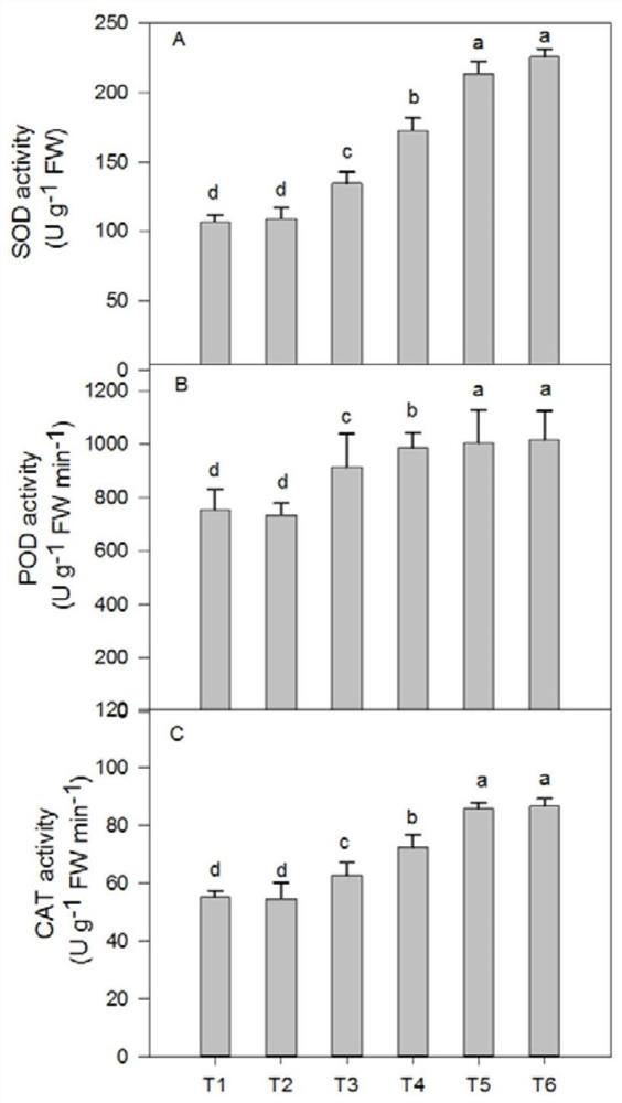 Method for improving drought resistance and salt resistance of dianthus superbus