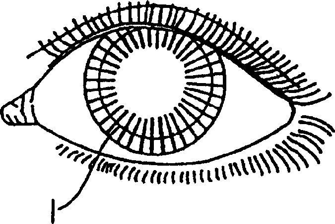 Ocular analyte sensor