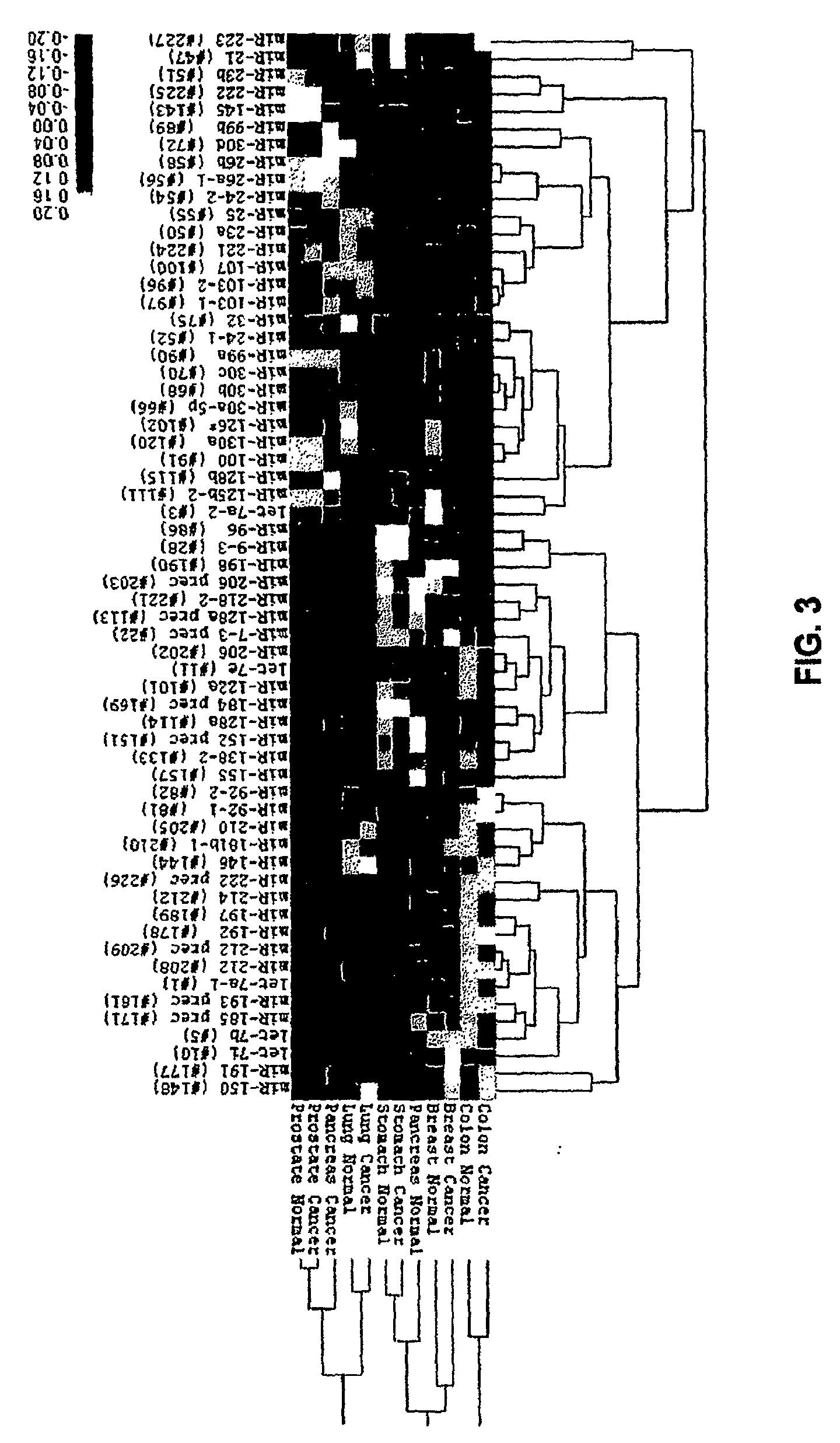 MicroRna-Based Methods and Compositions for the Diagnosis, Prognosis and Treatment of Solid Cancers