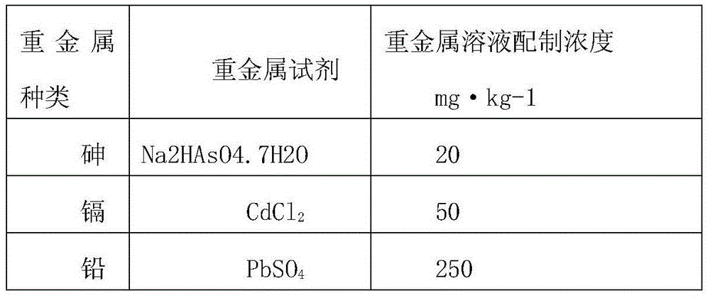Soil heavy metal ion absorbent and preparation method thereof