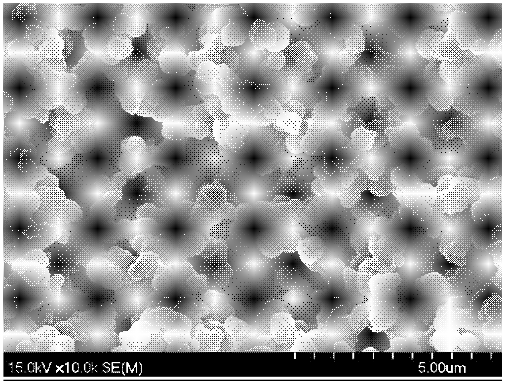 Preparation method for magnolol molecularly imprinted polymer film