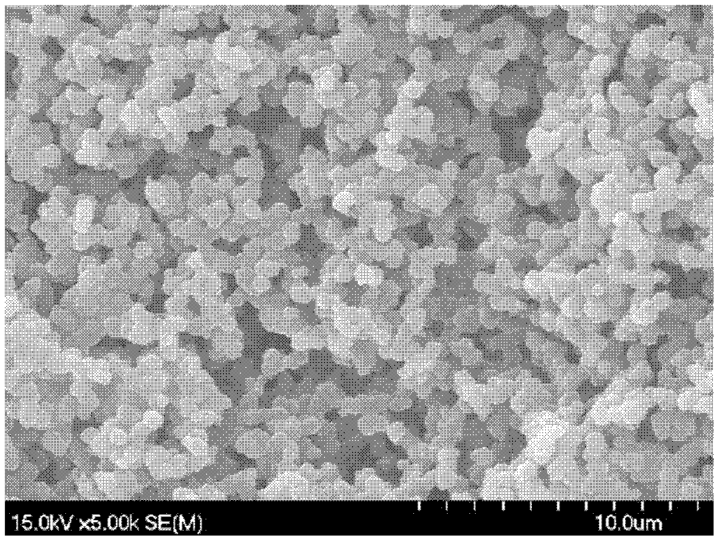 Preparation method for magnolol molecularly imprinted polymer film