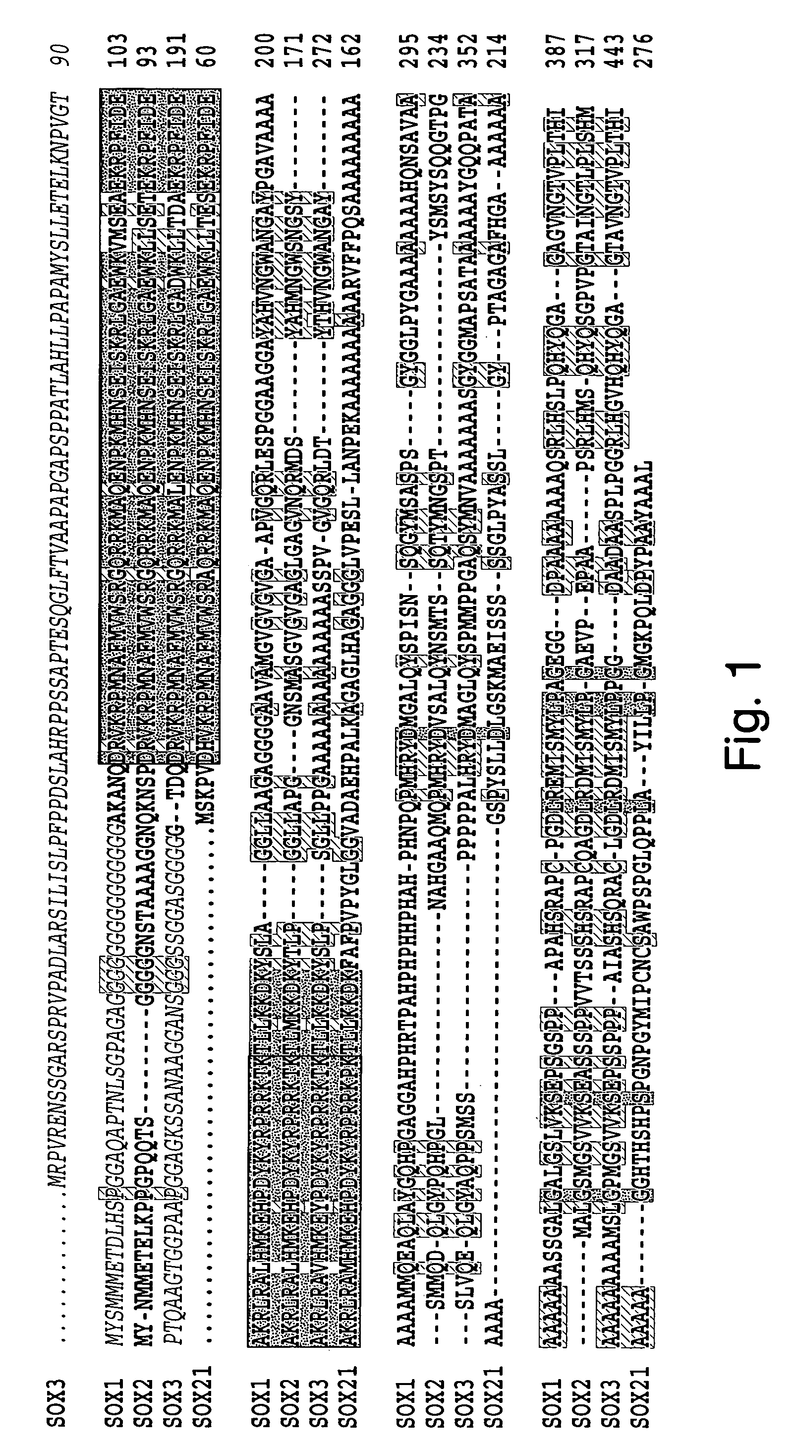 Small cell lung cancer associated antigens and uses therefor