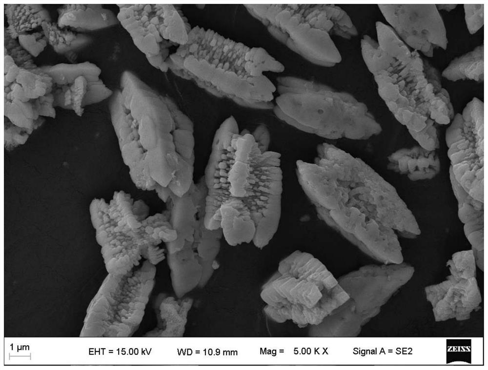 A kind of nano-array bismuth vanadate powder for sterilization and its preparation and application