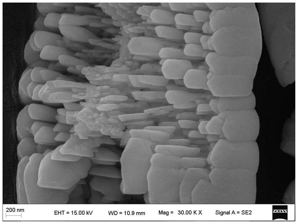 A kind of nano-array bismuth vanadate powder for sterilization and its preparation and application