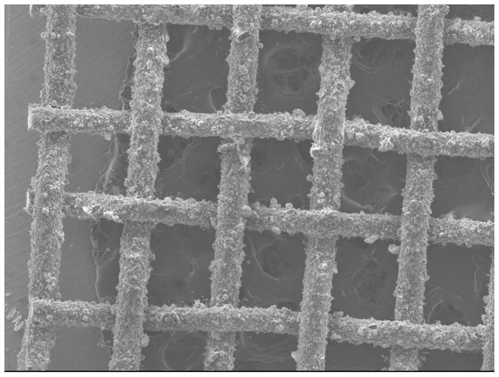 A kind of preparation method and application of corrosion-resistant super-hydrophobic stainless steel mesh