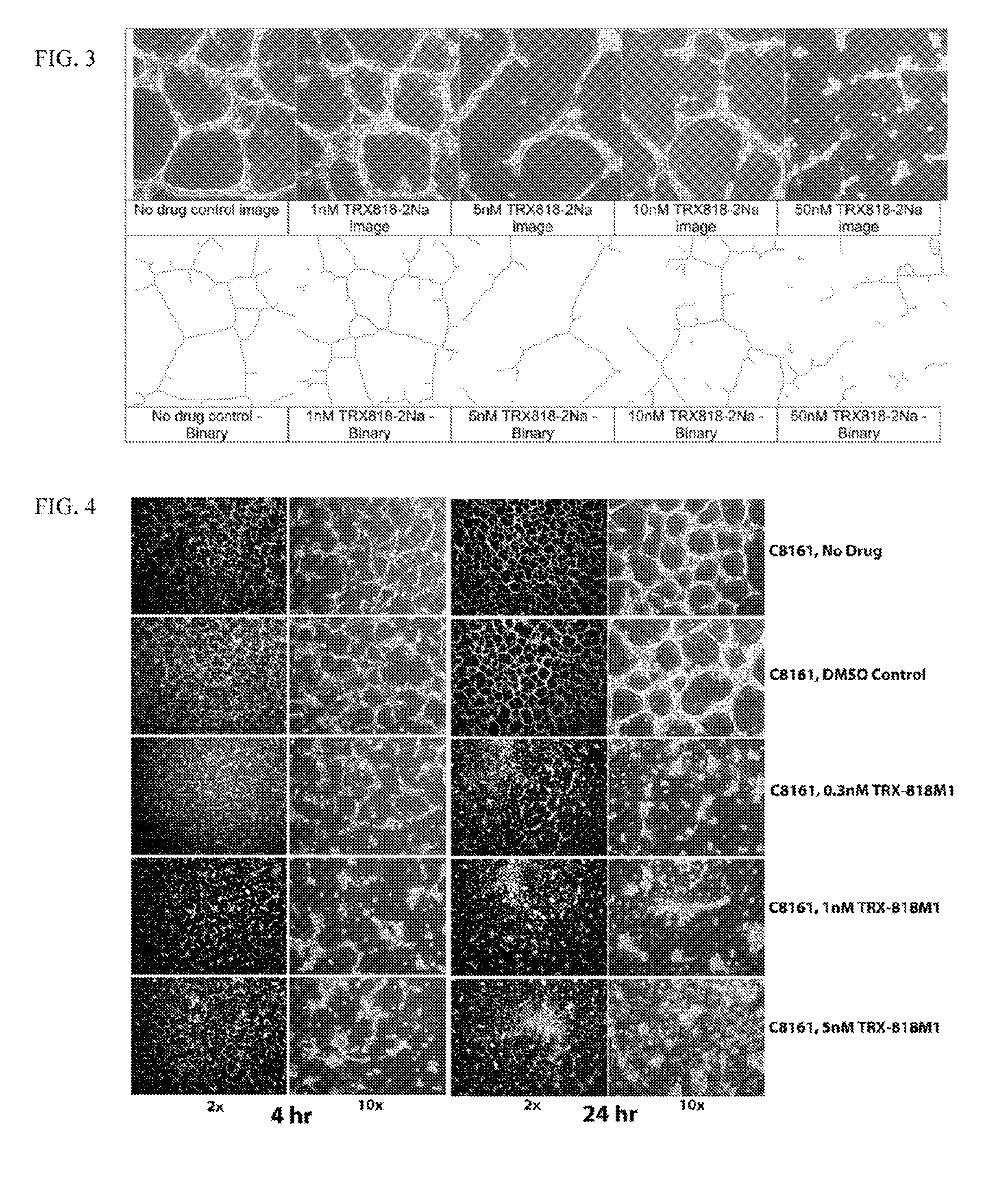 Novel use of aryl-quinolin derivatives as inhibitors of vasculogenic mimicry