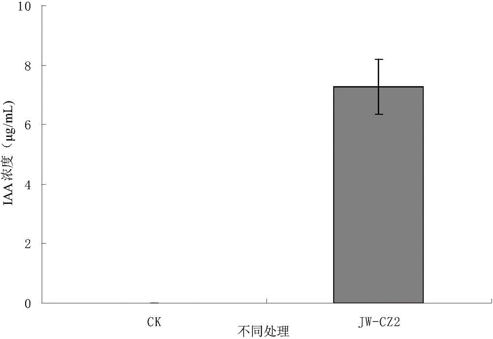 Tea tree growth-promoting rhizobacterium Serratia marcescens and application thereof