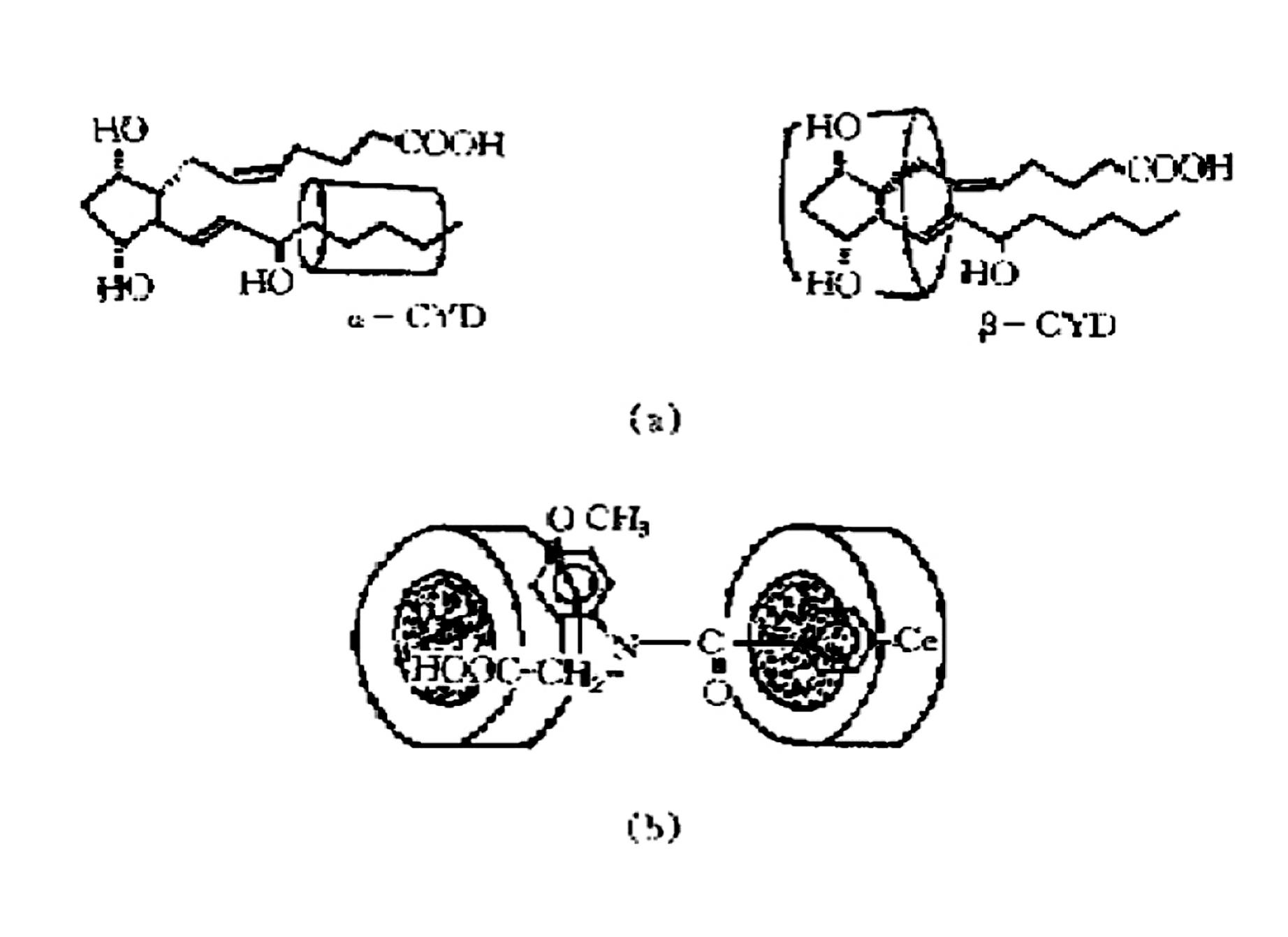 Cyclodextrin-included florfenicol quick-release water-soluble powder preparation and preparation method thereof