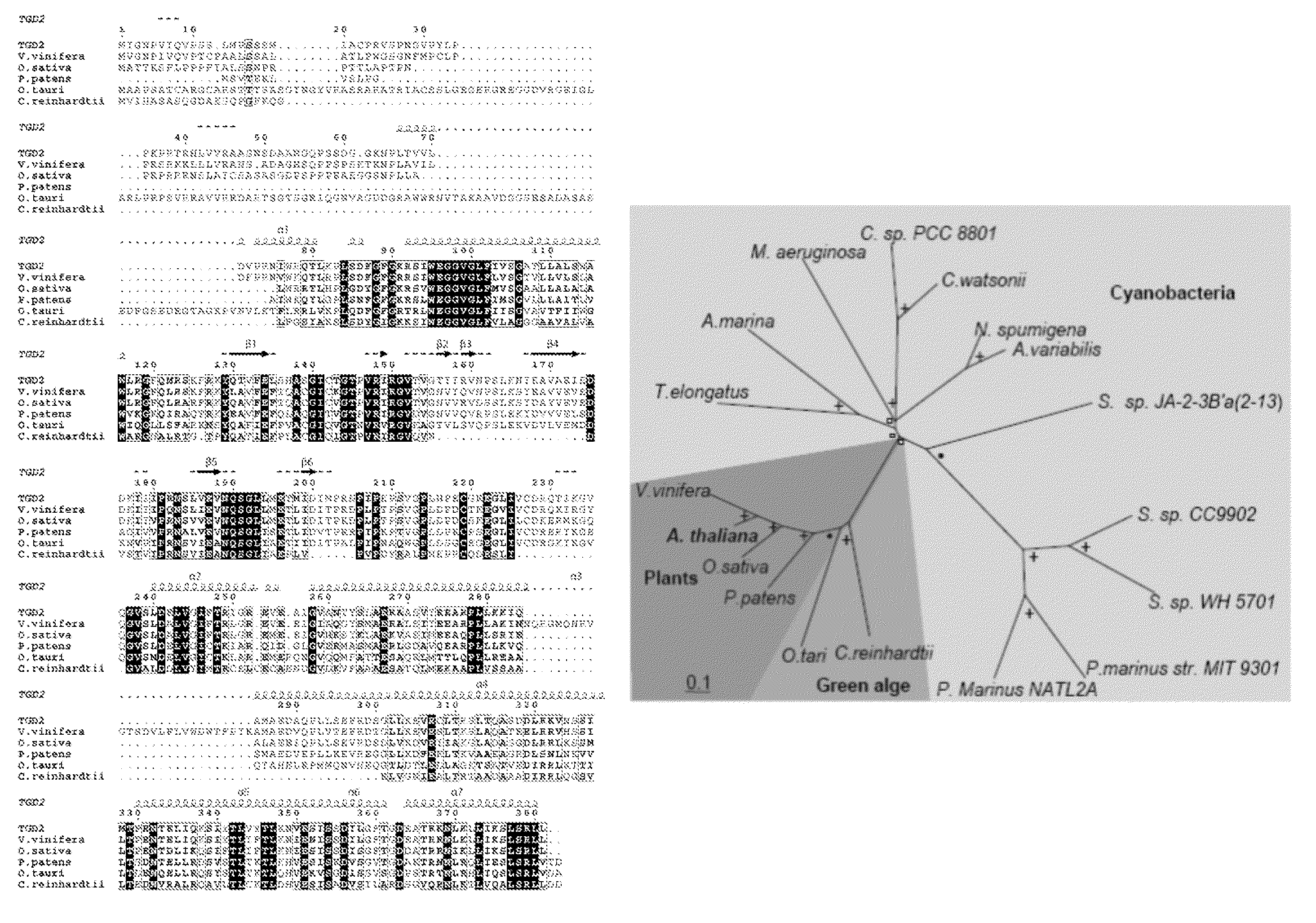 Compositions and methods of a phosphatidic acid binding protein