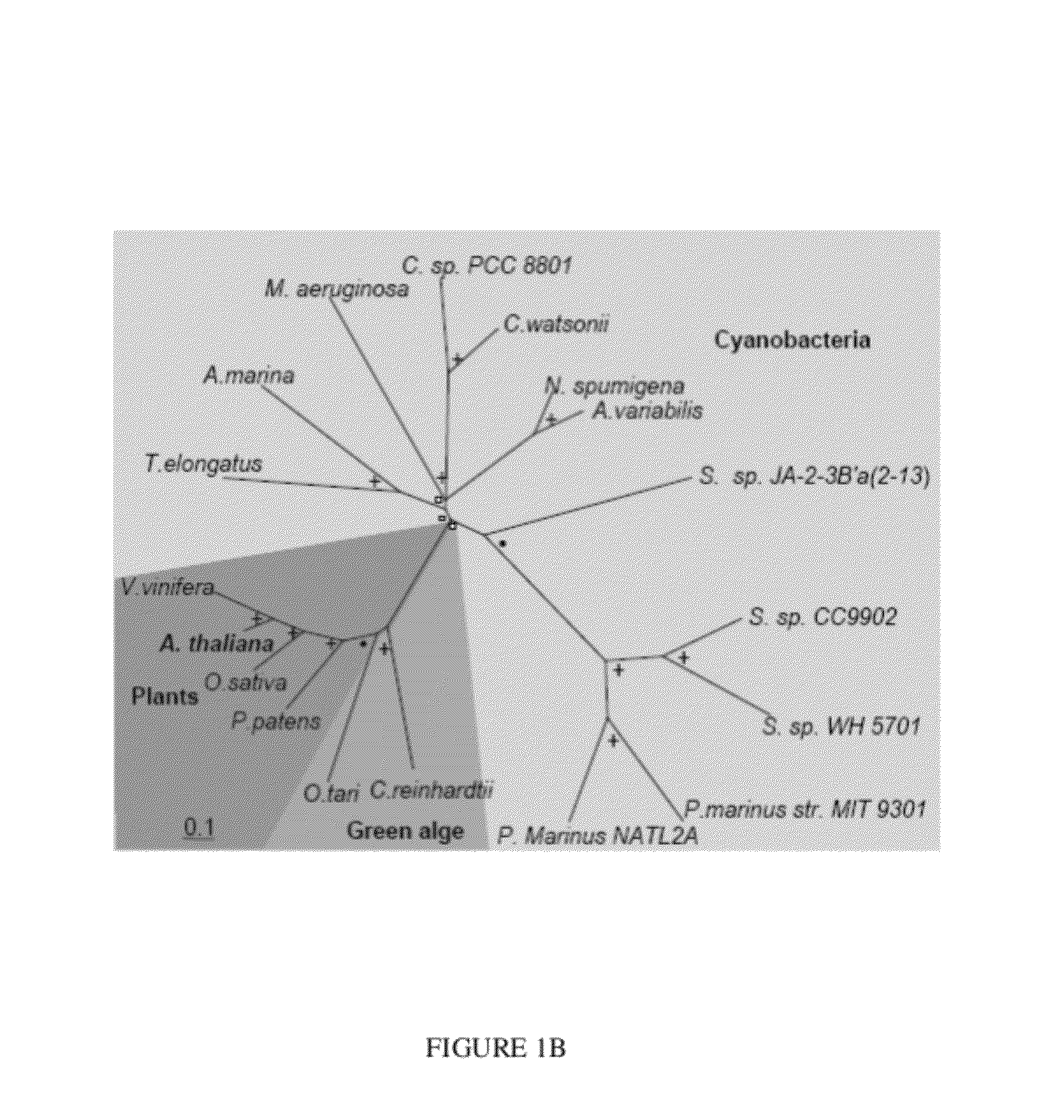 Compositions and methods of a phosphatidic acid binding protein
