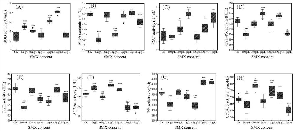 Method for detecting and evaluating environmental risk of sulfamethoxazole by using paramecium biomarker and IBR