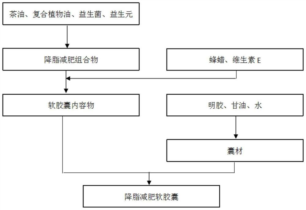 A kind of tea oil composition for lowering fat and losing weight and its application, soft capsule and its preparation method