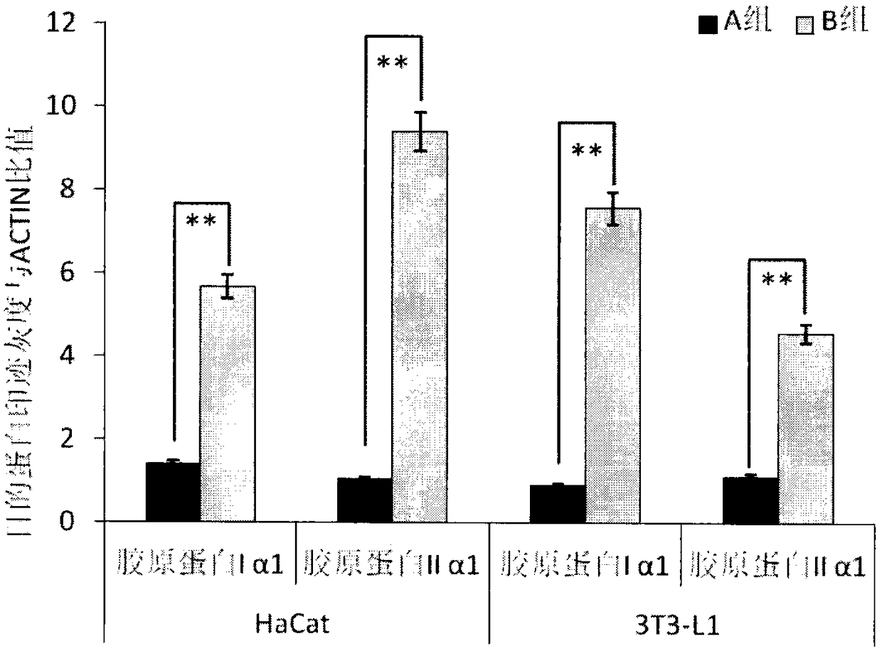 Cosmetic composition for skin wrinkle repair and product thereof