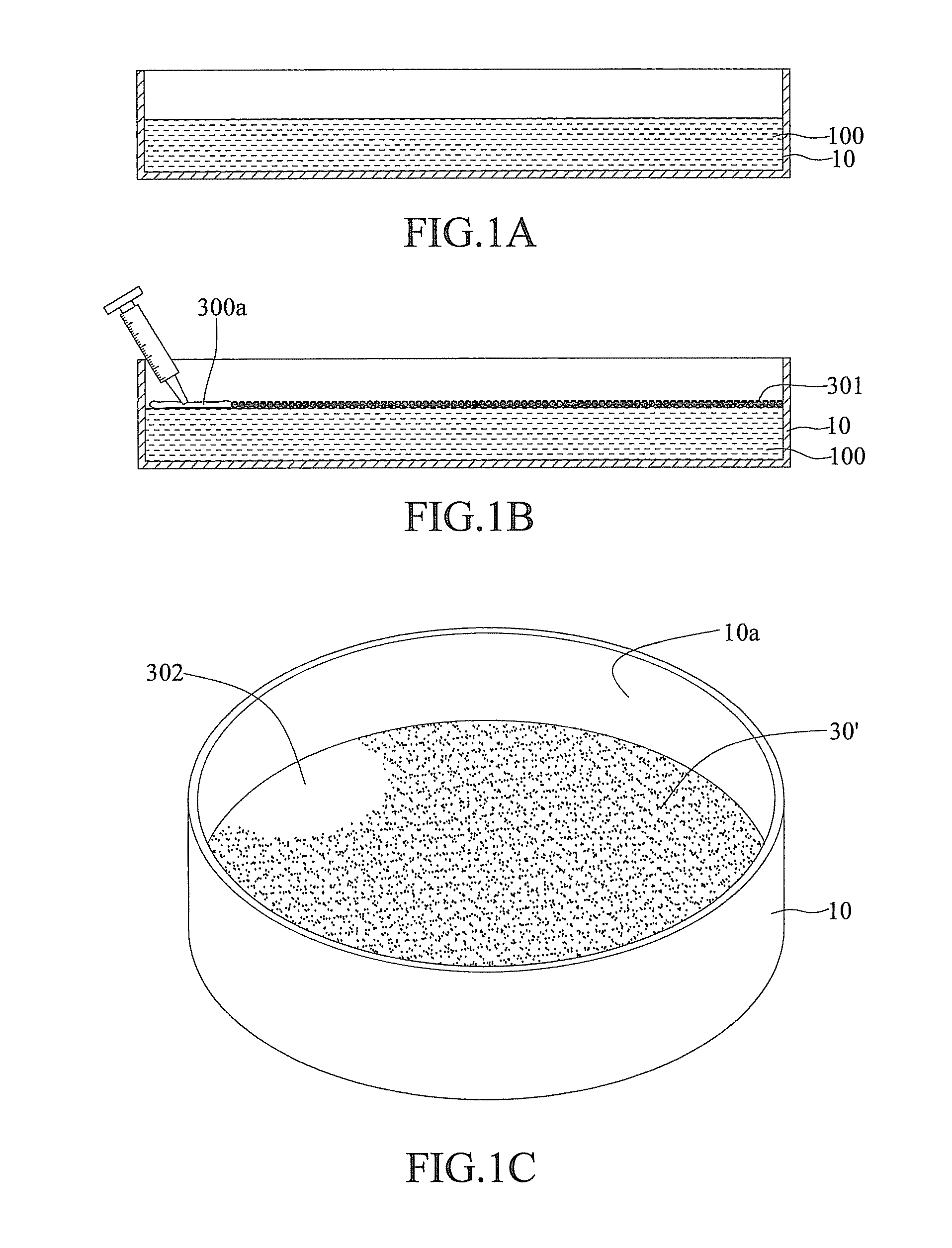 Film formation system and film formation method