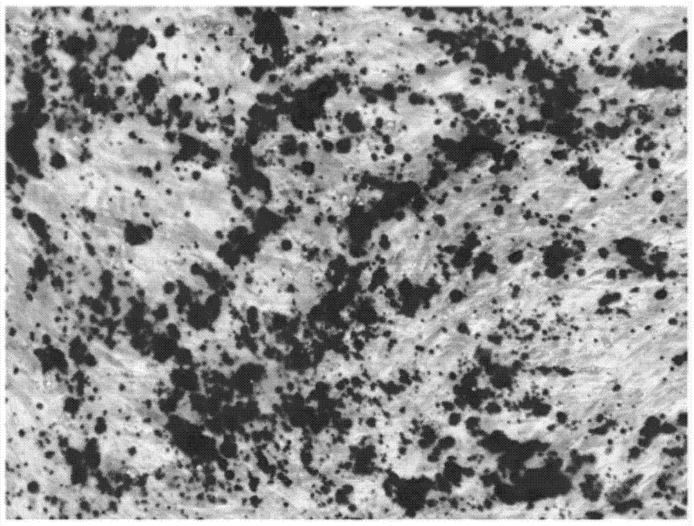 Use of mir‑216 in the preparation of drugs for promoting osteogenic differentiation