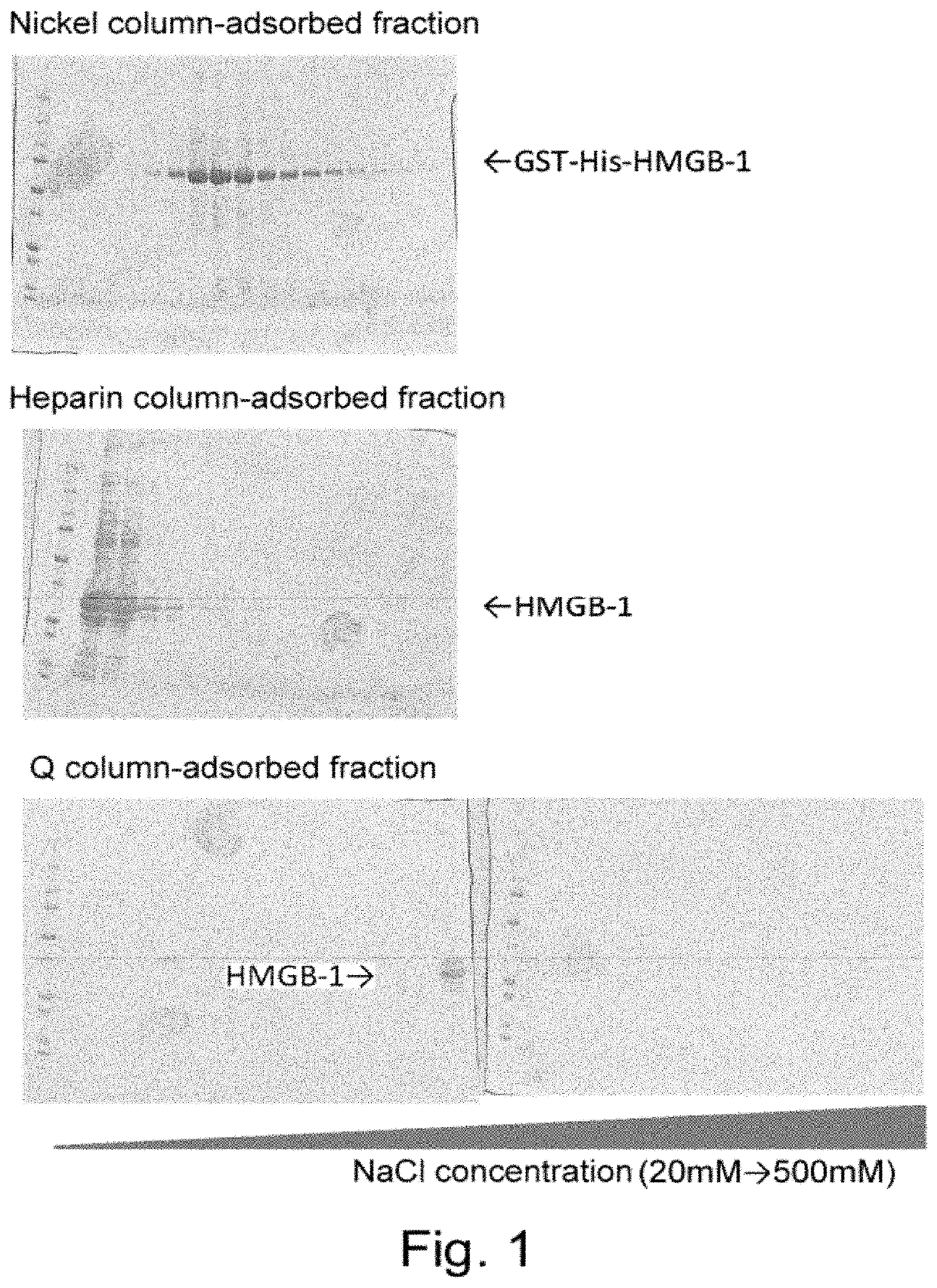 Agents for promoting tissue regeneration by recruiting bone marrow mesenchymal stem cells and/or pluripotent stem cells into blood