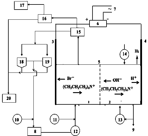 Device and method for preparing high-purity tetrapropylammonium hydroxide and co-producing bromine through electrolysis