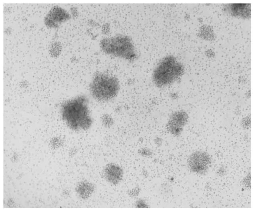 Highly active T cell in-vitro culture kit and culture method