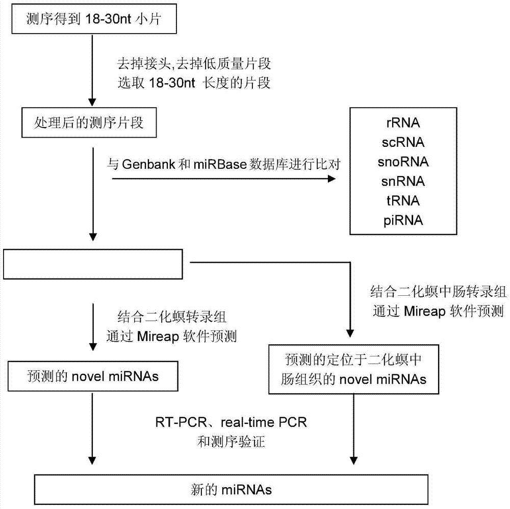 Application of endogenous small RNA of Chilo suppressalis in improving rice insect resistance
