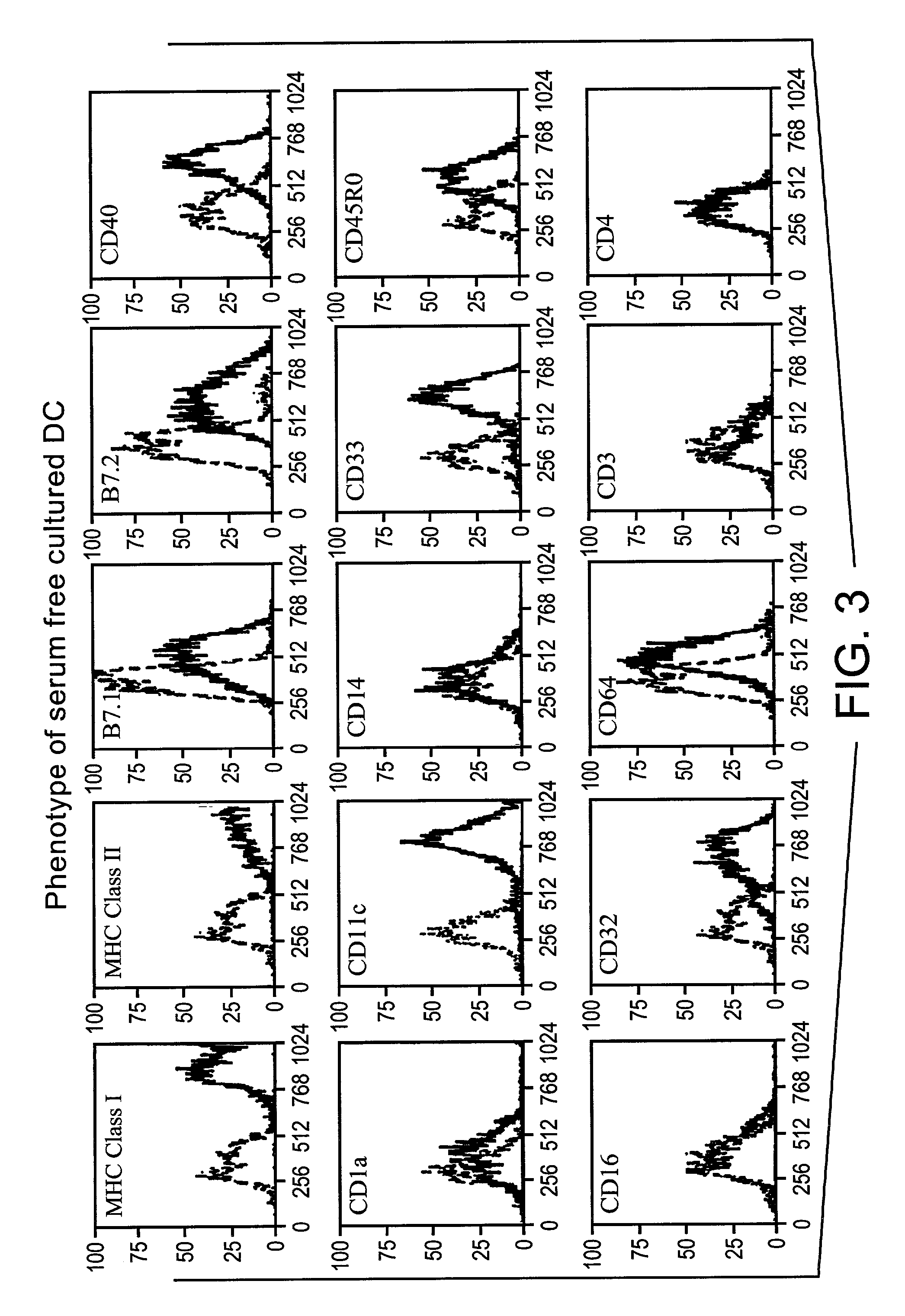 Method for producing human antibodies in SCID mice which uses dendritic cells pulsed with antigen-antibody complexes and antigen-antibody complexes as immunizing agents