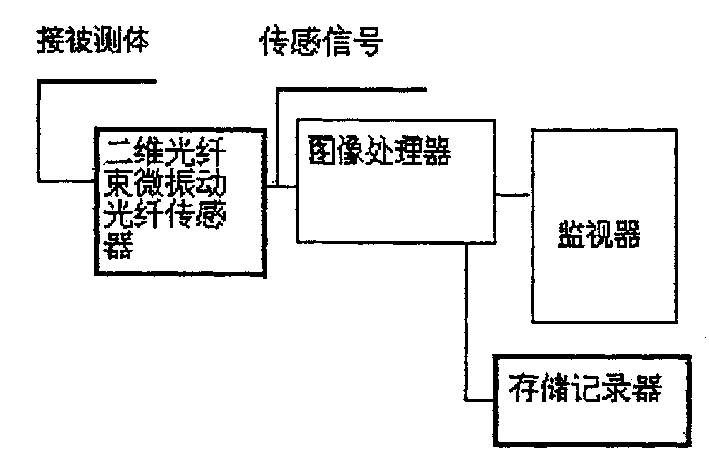 Two-dimensional microvibration optical fibre test system and method