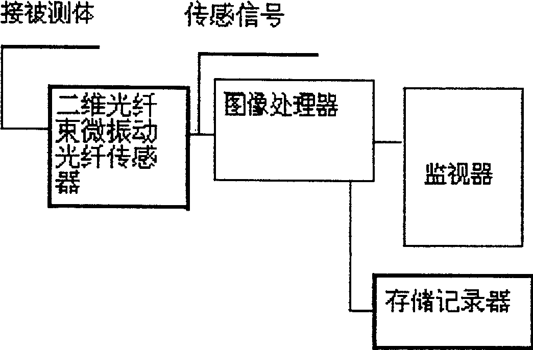 Two-dimensional microvibration optical fibre test system and method