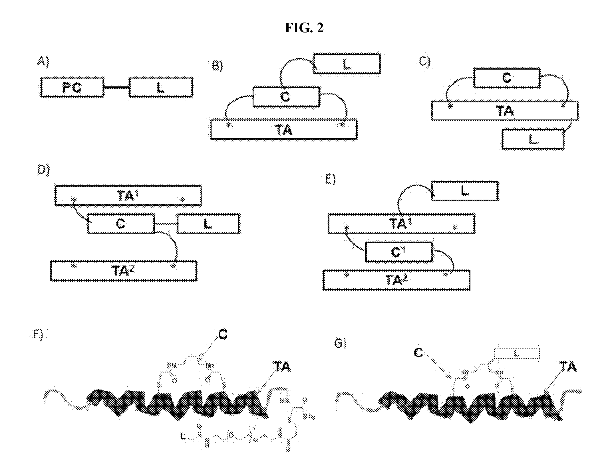 Modified therapeutic agents, stapled peptide lipid conjugates, and compositions thereof