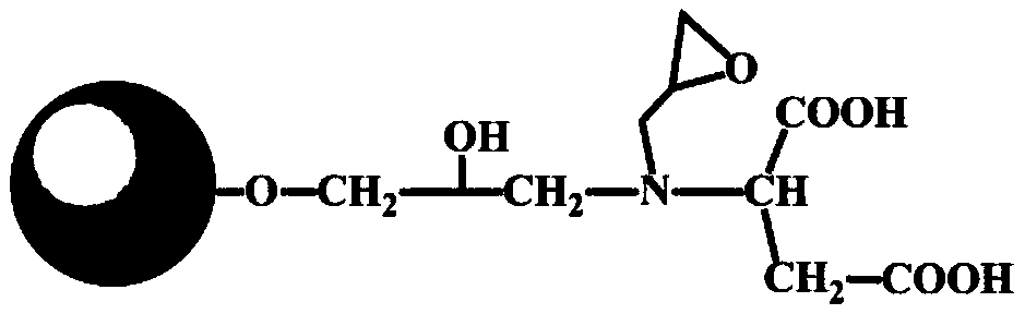 Active carrier and preparation method for directional immobilization of protein A and preparation method of protein A immunoadsorption material