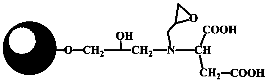 Active carrier and preparation method for directional immobilization of protein A and preparation method of protein A immunoadsorption material