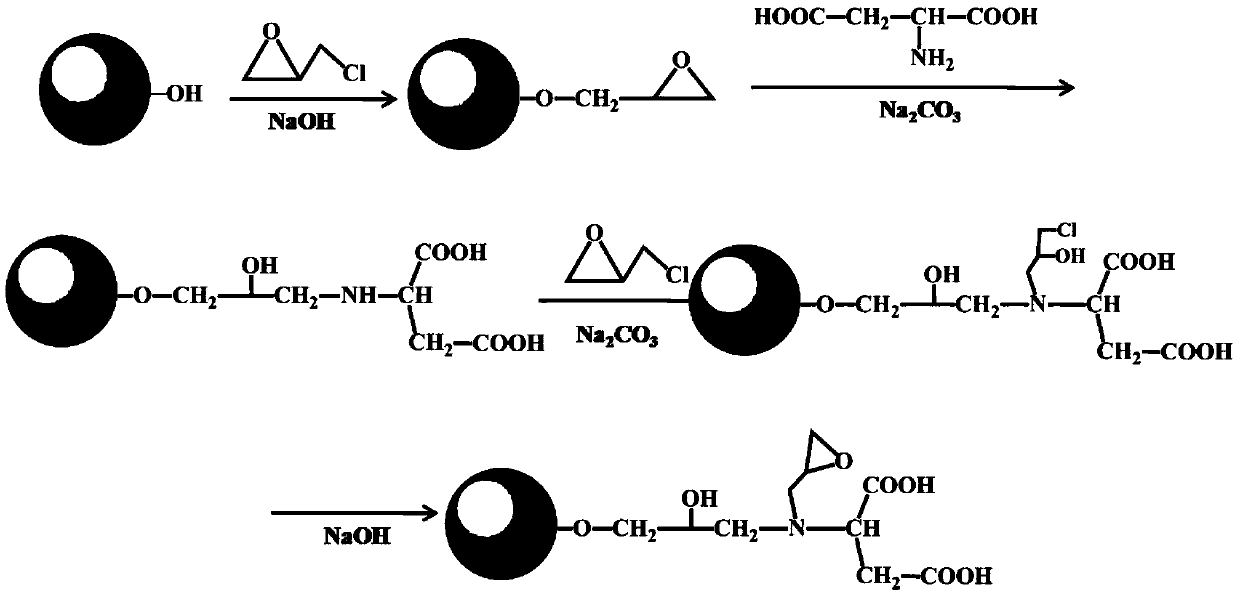 Active carrier and preparation method for directional immobilization of protein A and preparation method of protein A immunoadsorption material