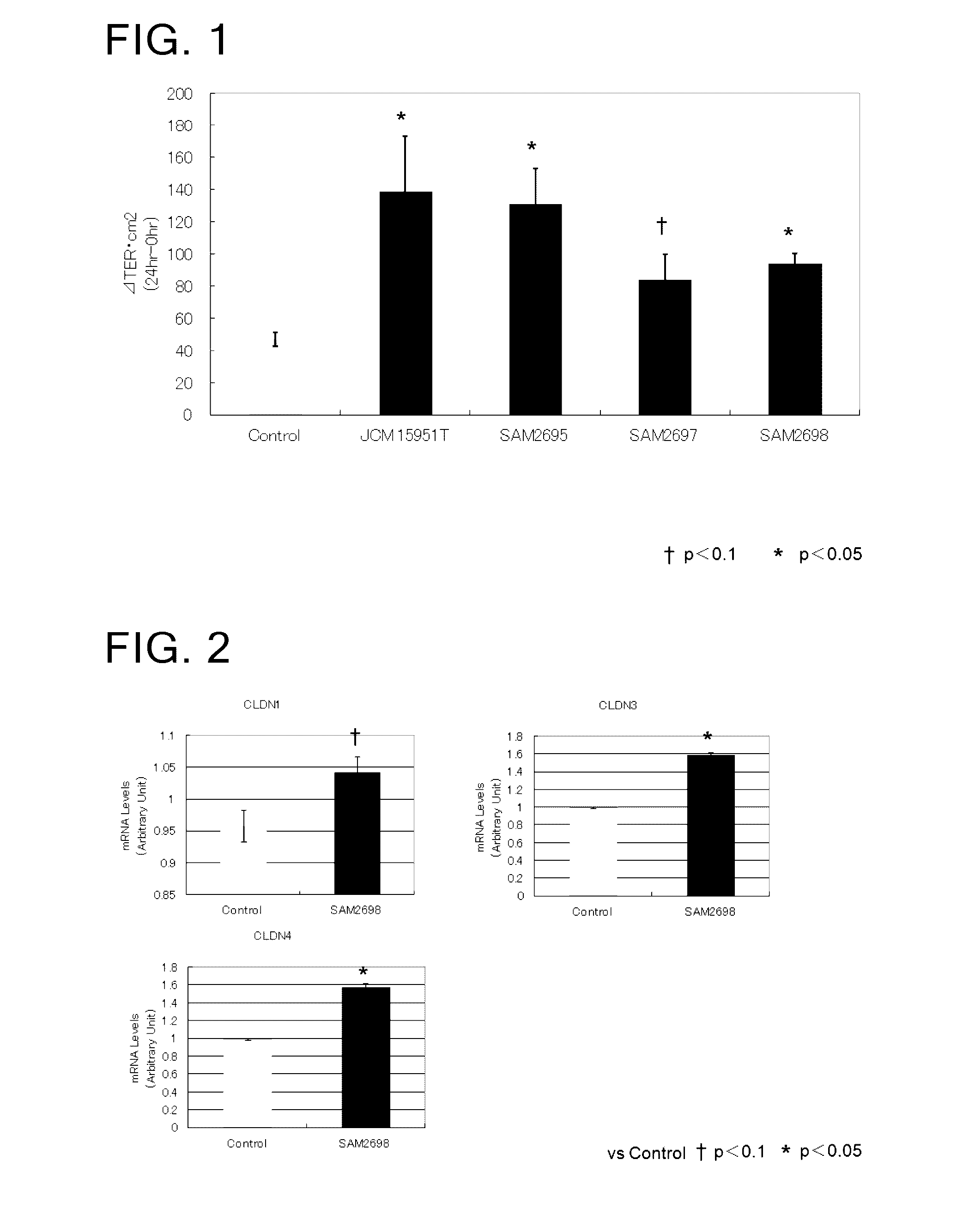 Intestinal barrier function enhancer containing lactic acid bacteria