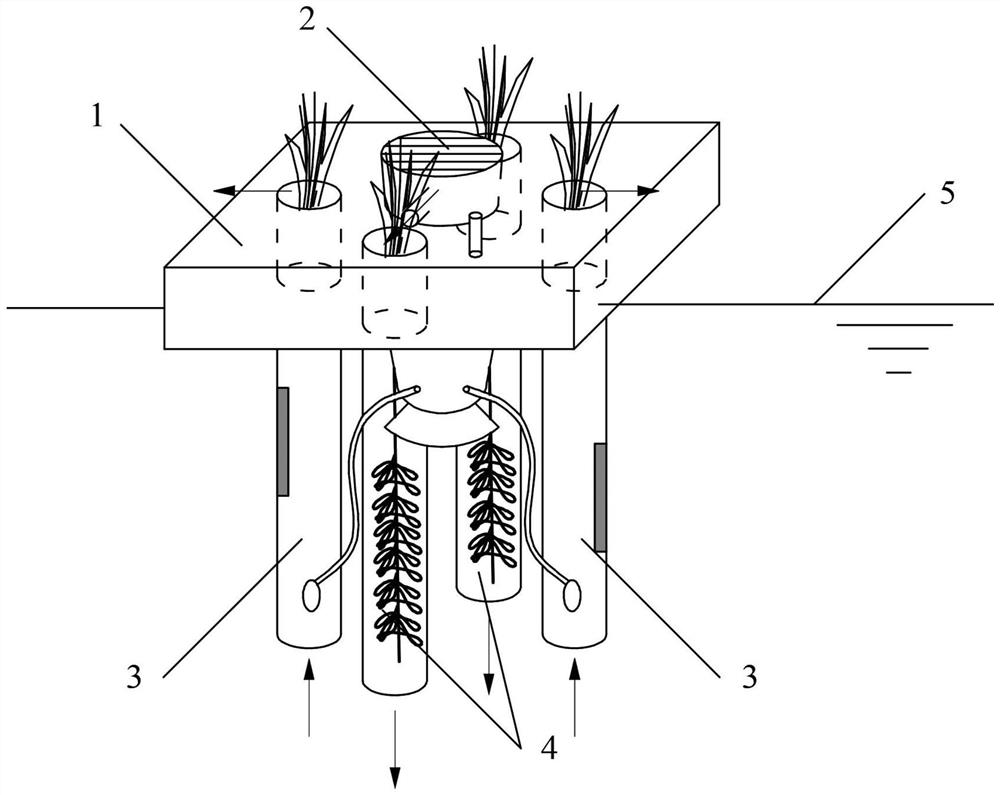 Steam stripping ultraviolet and plant growth effect combined zigzag water purification system