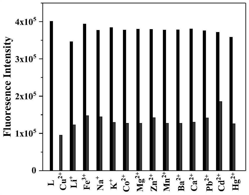 Novel ligand for copper ion detection, preparation of novel ligand, novel ruthenium complex and near-infrared long-life fluorescent probe