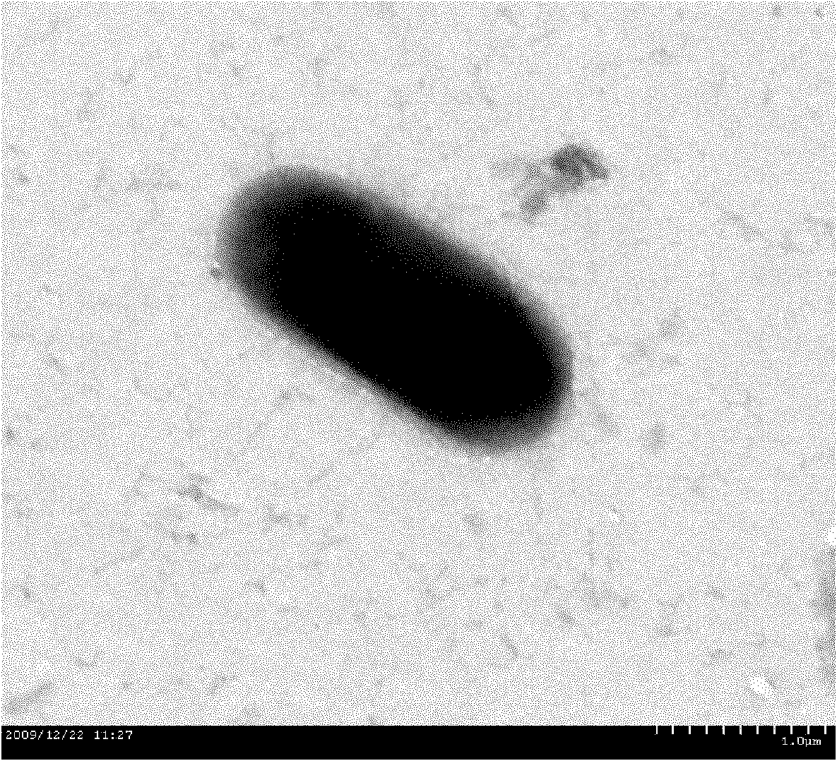 Marine aerobic denitrifying halomonas strain HGMN422 and application thereof