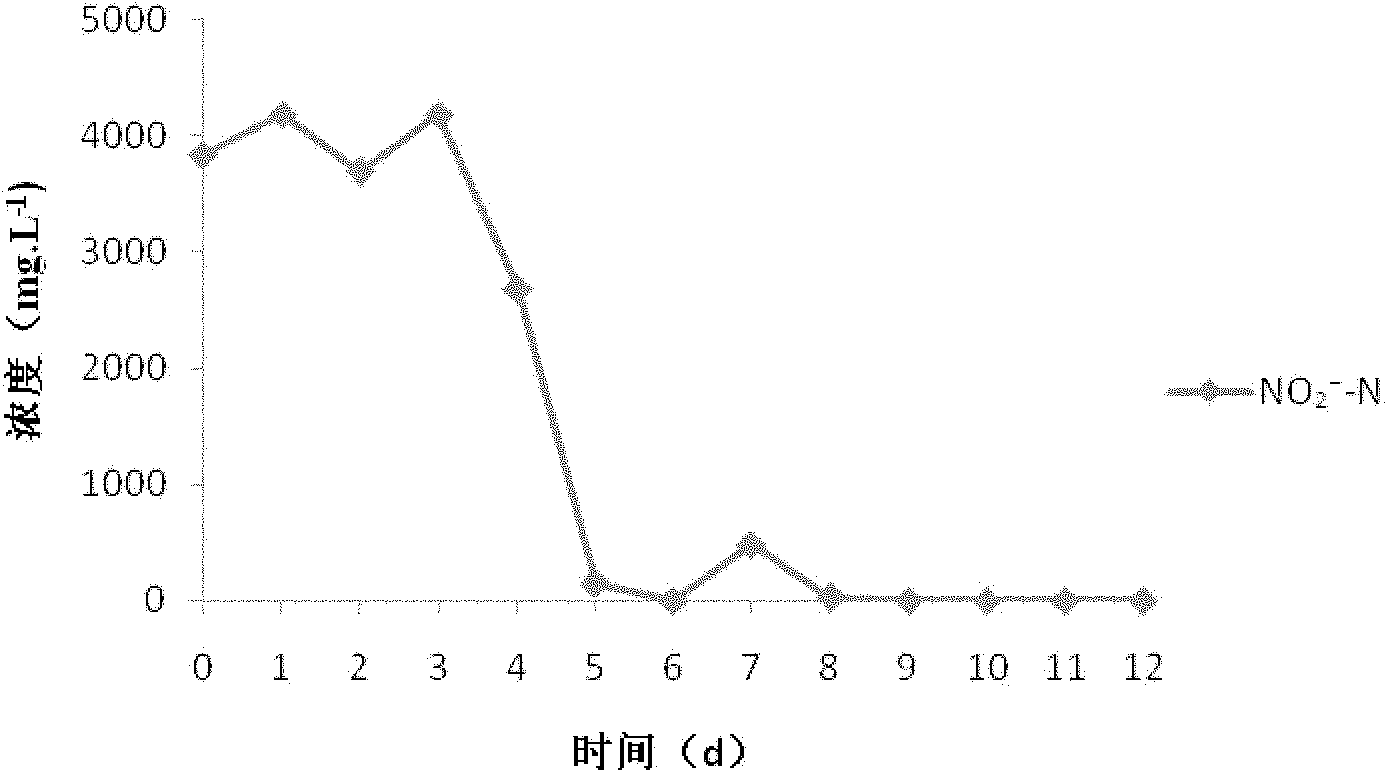 Marine aerobic denitrifying halomonas strain HGMN422 and application thereof