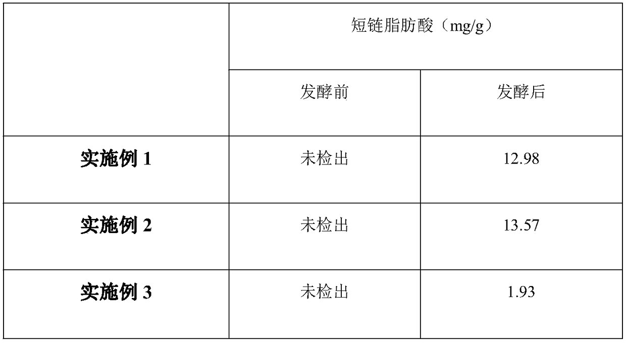 Fermented jujube beverage and preparation method thereof
