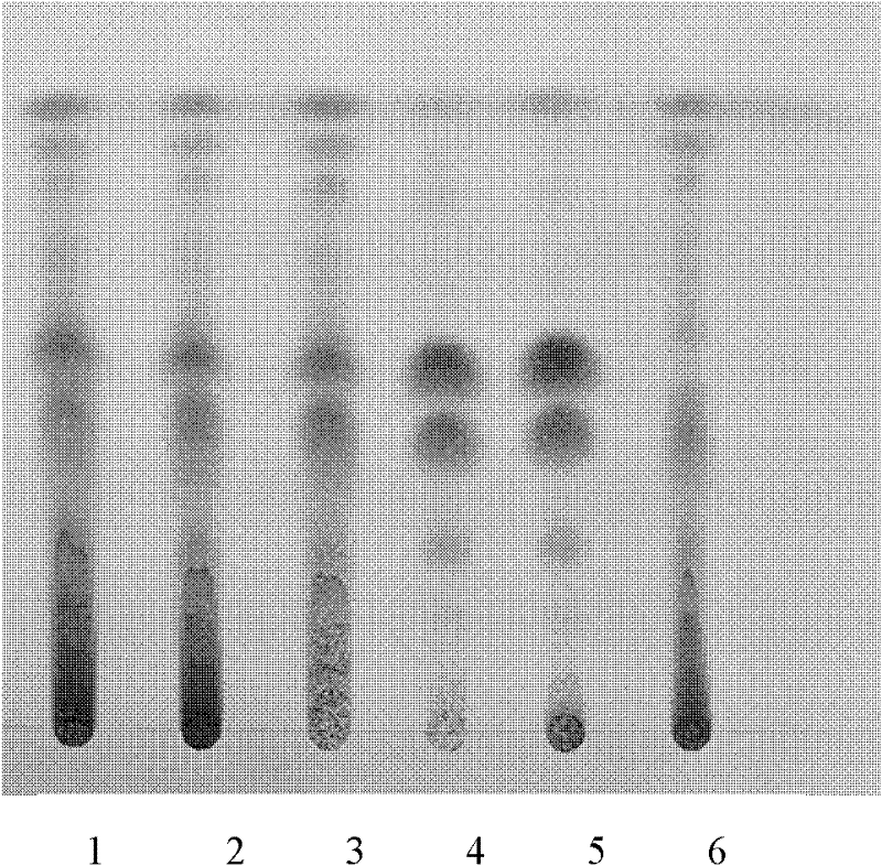 Method for detecting ten-flavour rankincense preparation