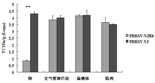 High-fidelity attenuated strain of porcine reproductive and respiratory syndrome virus and its application